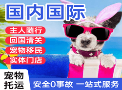双流空运代理国际宠物托运 【国